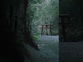 【Japan】神秘的なここ、日本にあります。
