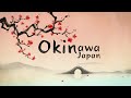 #History of #Karate | Trailer of upcoming video | Graphics Works