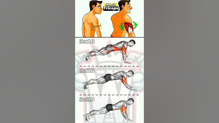 3 Best Bodyweight Triceps Exercises for Bigger Arms (No Equipment Needed!)#tricepsworkout #fitness