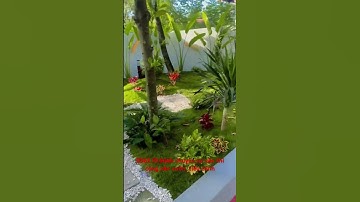 Chuyên tư vấn thi công tiểu cảnh, sân vườn, cảnh quan