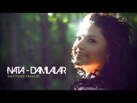 Natavan Hebibi - Damlalar