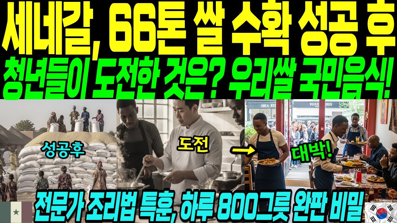 세네갈 쌀농사 66톤 성공한 청년 3명, 이번엔 음식점 창업! 하루 800그릇 완판하며 마을 전체 바꾼 기적 [해외감동사연]