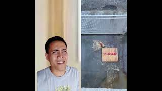 Part 1 Abay Recmar Funny Video Compilation