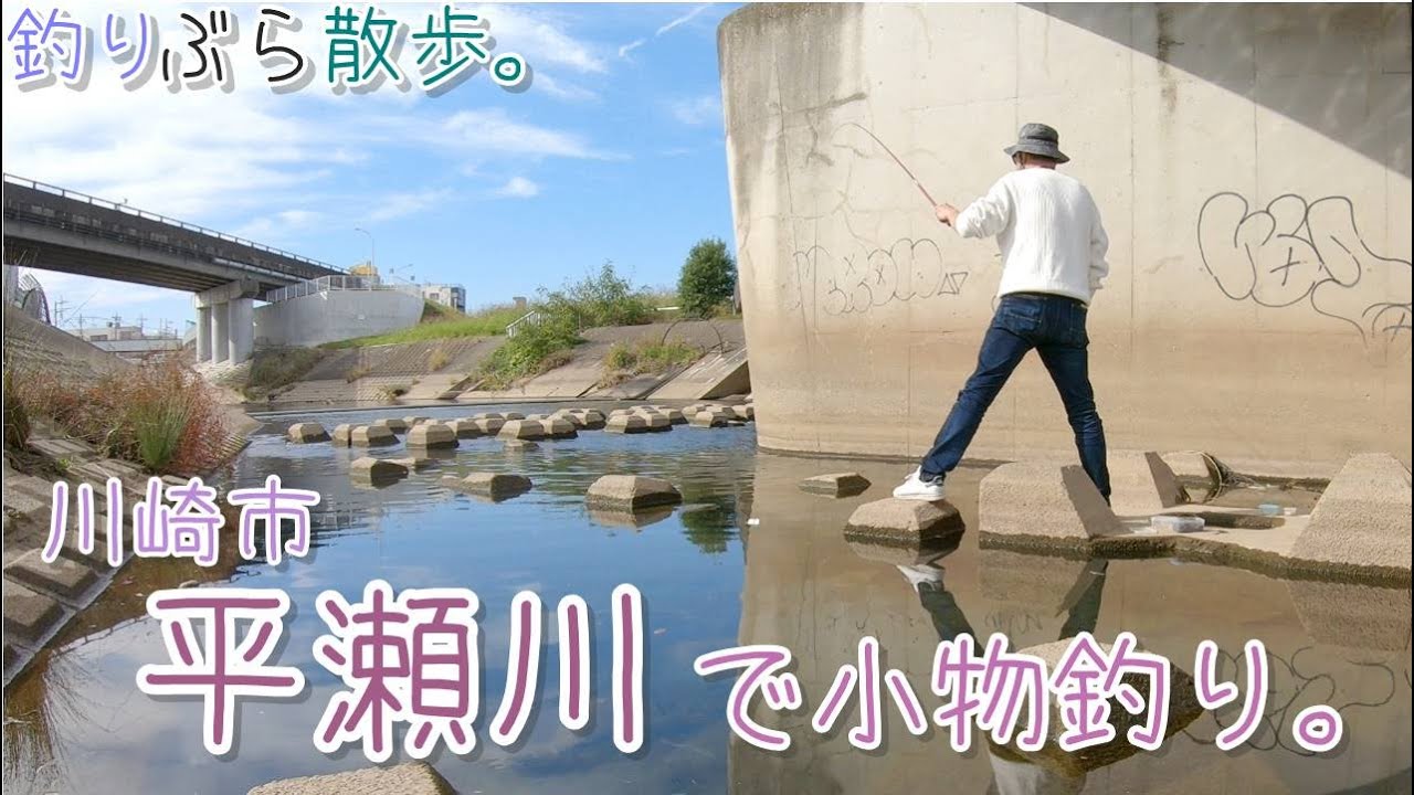 小物釣り 川崎市 多摩川に流れ込む平瀬川下流で小物釣り 淡水 Youtube