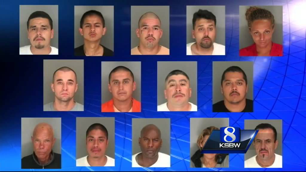 16 Arrested In Santa Cruz County Gang Sweep Youtube