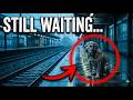 The Dog Waited At The Train Station Every Day… For Someone Who Never Came Back #dogrescue