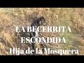 LA BECERRITA ESCONDIDA Hija de la Mosquera 44