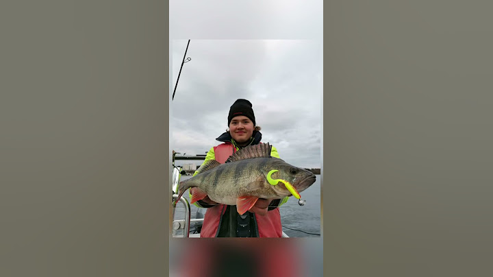 Jäätävä AHVEN Jasu Sirpillä!💥🤩🎣👍🏻 @EumerFishing​