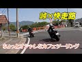 【峠越え】GoogleMAPのオススメルートでちょっとオシャレなカフェ巡り【XJR1300•NINJA1000SX•BMW M1000R】