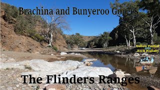 The Flinders Ranges, Brachina and Bunyeroo Gorges