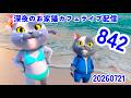 深夜のお家猫カフェライブ配信　８４２