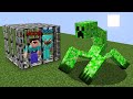 Noob and Pro Escaping CREEPER MUTANT PRISON! Noob vs Pro Minecraft Animation!