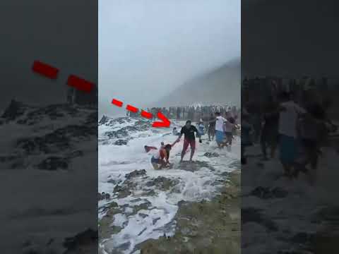 Video: Anjing Hilang Dari Penglihatan Setelah Dibawa Ke Laut Oleh Gelombang Raksasa