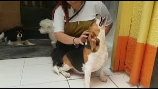 Meet Jenny Spasmodic But Happy