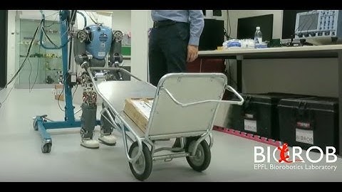 COMAN Robot, EPFL: Walking Experiments