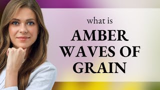 Exploring the Beauty of Amber Waves of Grain