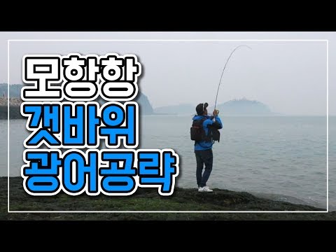 [워러]의 루어낚시 - 태안 모항항 갯바위 광어공략(루어낚시와 나에 대한 믿음)