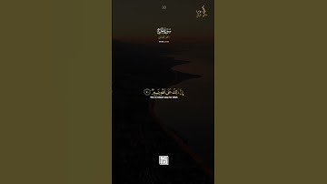 ألم تعلم أن الله يعلم مافي السماء والأرض | ماهر المعيقلي || سورة الحج