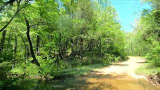 Ozark Dirt Roads a Virtual Drive over Bridge Hill RD from AR Highway 95 to AR 124