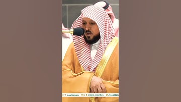تلاوة نادرة جداً تبكي السامعين💔 لفضيلة الشيخ د. ماهر المعيقلي || ومن يغفر الذنوب إلا الله