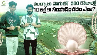 ముత్యాల సాగు #pearls farming #oyster pearls cultivation #marketing #pearls farming in fresh water