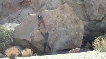 True Grit V4