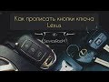 Как прописать ключ в Lexus RX 300/330/350/400