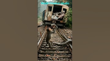 Monkey Vs Python intense fight on railway track #viral #shorts #trending #shortvideo #shortsfeed #ai