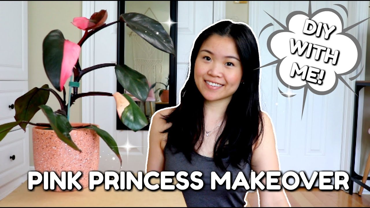 Staking up my Philodendron Pink Princess | Repot & DIY with Me