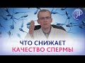 КАЧЕСТВО СПЕРМЫ. ПОЧЕМУ СНИЖАЕТСЯ качество эякулята. Андролог-уролог ЦИР Живулько А.Р.