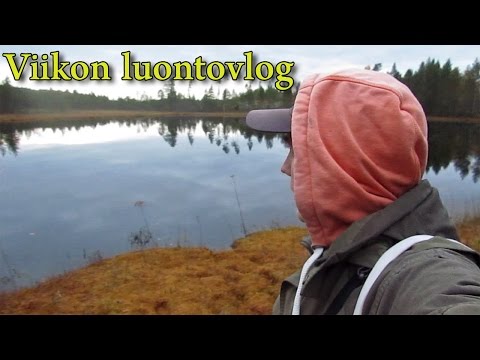 Video: Mikä On Luonto