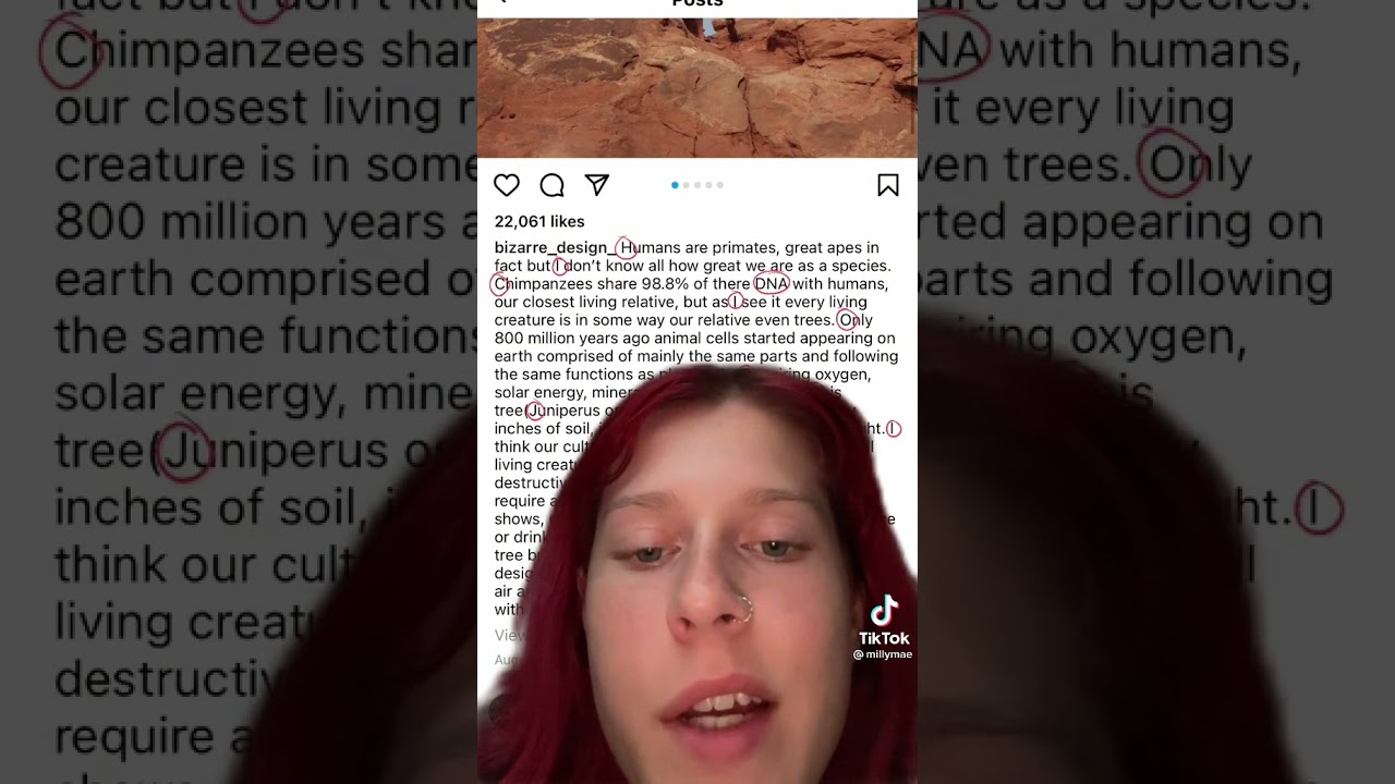 Hidden Messages in Brian Laundrie Instagram - PART 1!