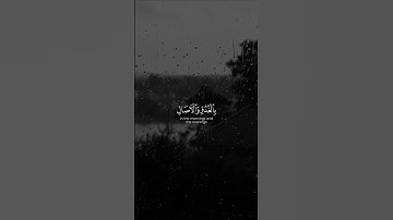 #فارس_عباد #تلاوات #آيات #القرآن_الكريم #قرآن #تلاوة #قران_كريم #قران #القرآن #قرآن_كريم #quran