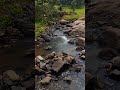 2025 Mayurbhanjia 