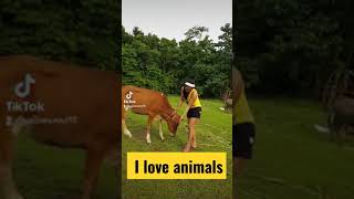 Amazing Cow He Kiss Me