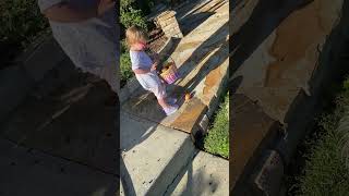Girl hunts for Easter eggs in yard then baby falls out of blue wagon and faceplants on grass