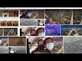3 DAYS ADVENTURE IN RED SAND, LAKE PARK AND SKY BRIDGE RIYADH
