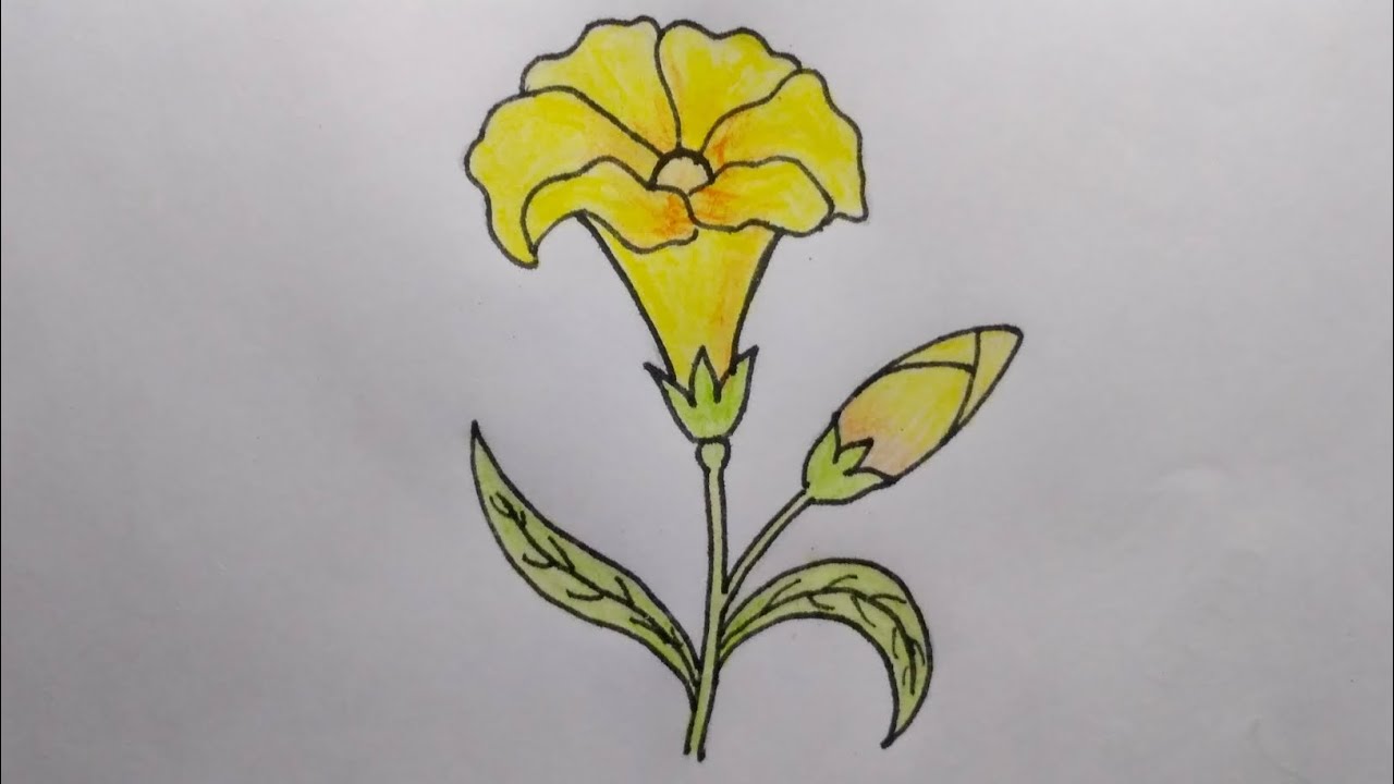 How to draw a rose || gulab phool drawing, gulab phool kaise banate || -  video Dailymotion