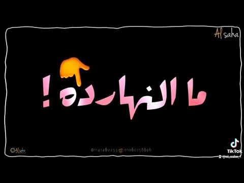 حاله واتس حمد موزه بت انتي انا نفسي فيكي مهرجان مش هتمشي معاكو حب