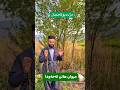 میوان هاتن لەخەودا بۆ گەنجان