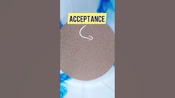 Millet Color sorter  #aura #machine #sorting #classictechnologies #manufacturing #sortingmachine