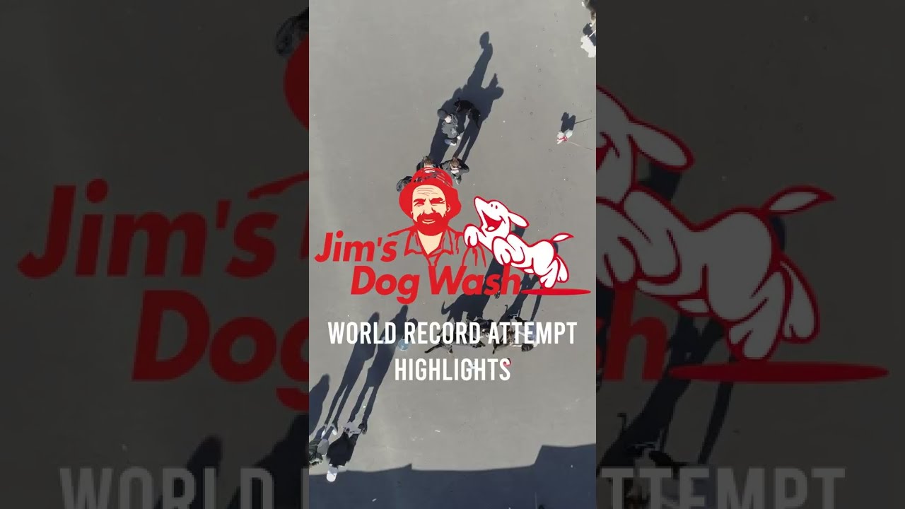 Jim's Dog Wash World Record Attempt