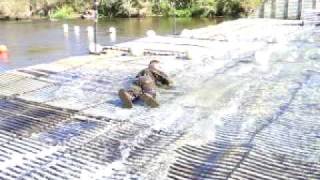 Swimmer passing over resistance board weir