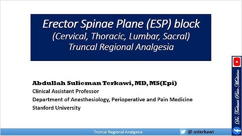 Erector Spinae Plane (ESP) Block
