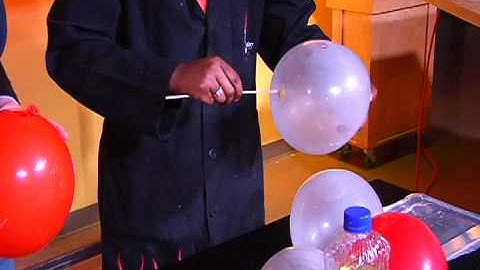 Reporter stabs a balloon without popping it!