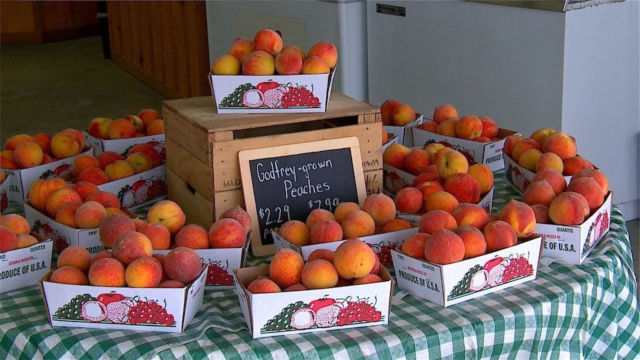 Godfrey's Farm Market In Sudlersville, Maryland YouTube