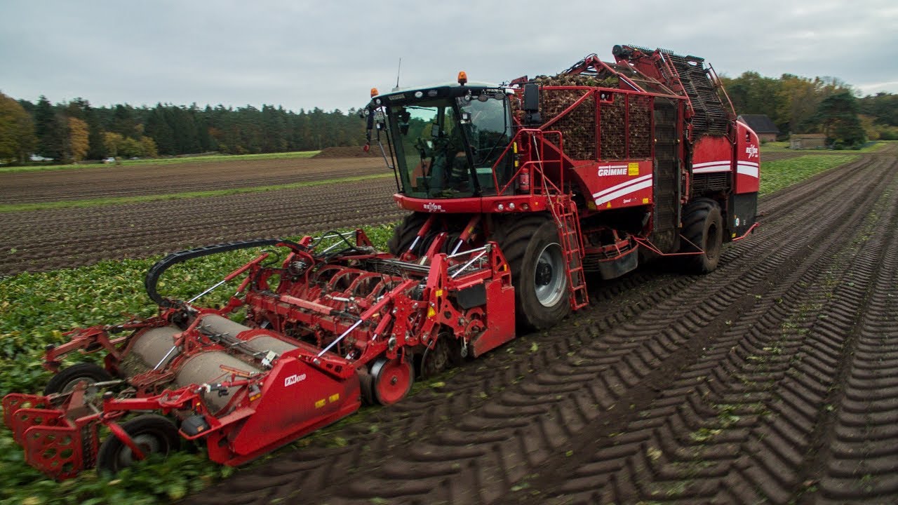 Rübenernte 2019 Grimme Rexor 620[Widmer GmbH][Rüben][Kreis ROW][Deutsch ...