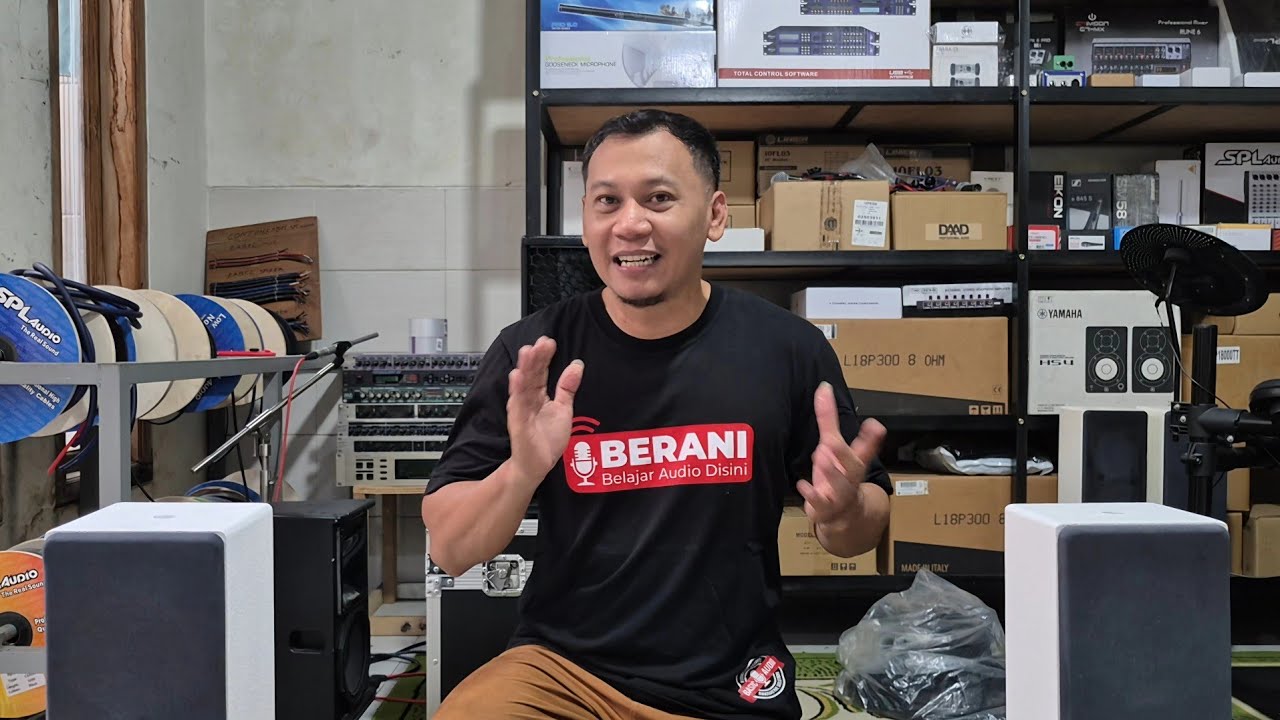 Акустическая колонка X9 Pro Audio ALX2-441, произведенная в Индонезии