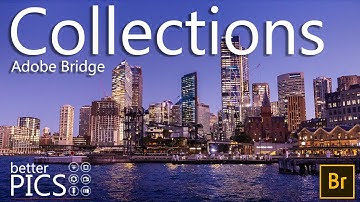 Collections in Adobe Bridge | #Collections #SmartCollections #AdobeBridge #ImageEditing
