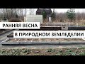 Ранняя весна в природном земледелии.